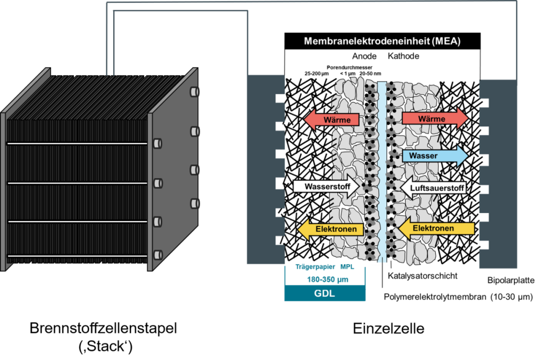 SGL Carbon's Gas Diffusion Layer